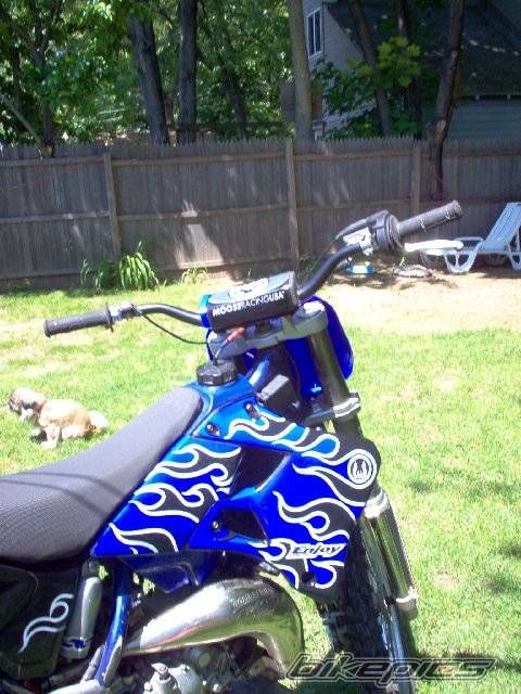 Photo 374871