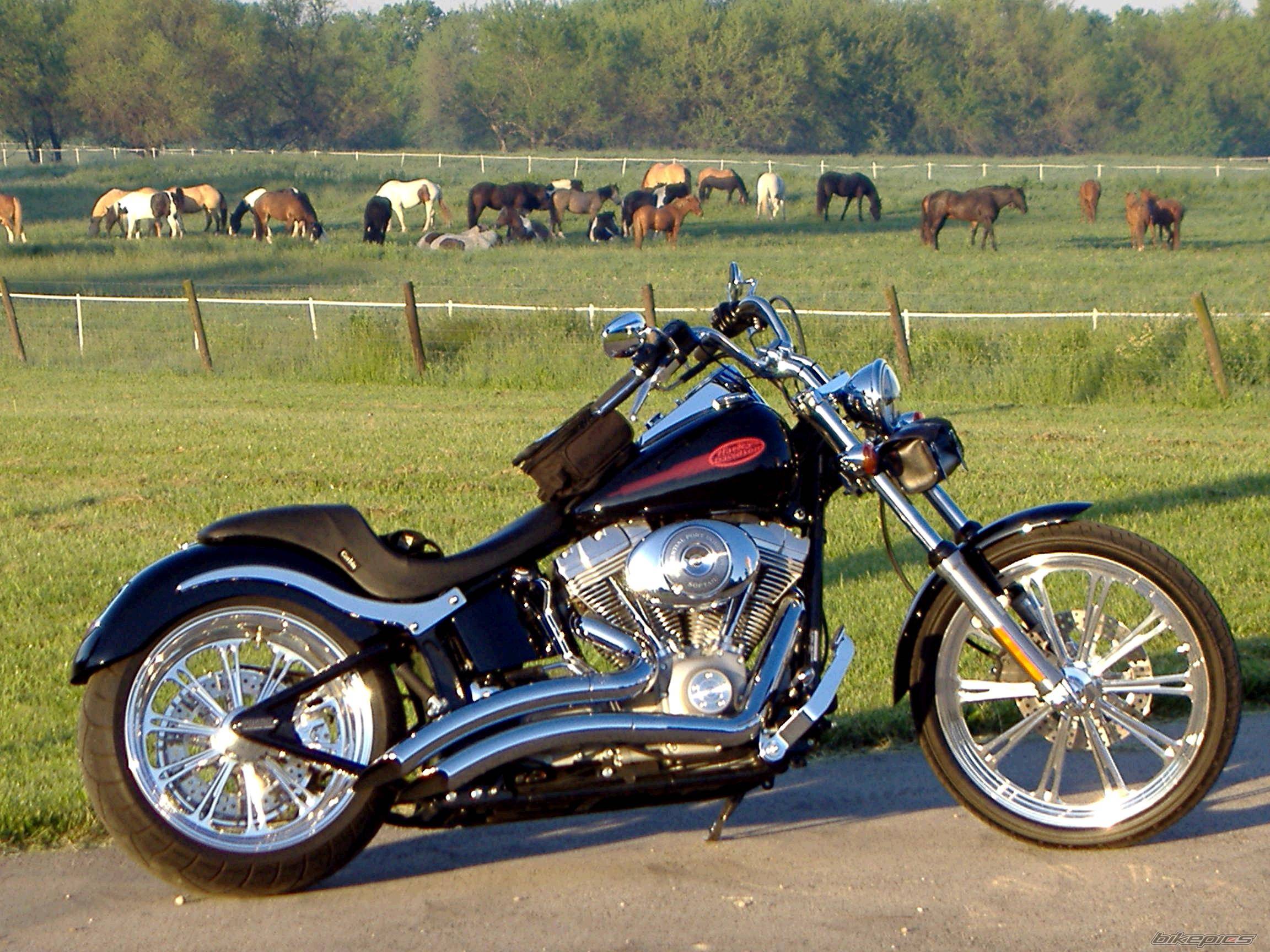 Bike Photo 374889