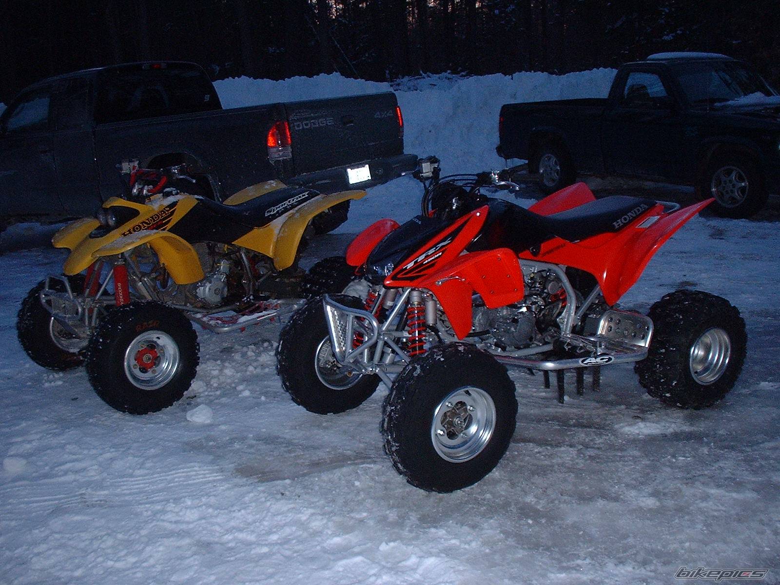 Photo 374892
