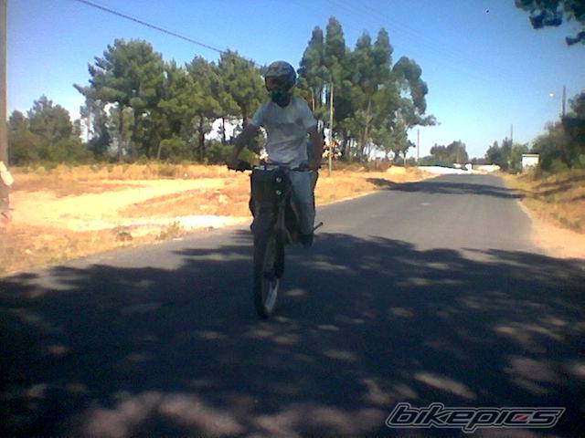 Photo 375208