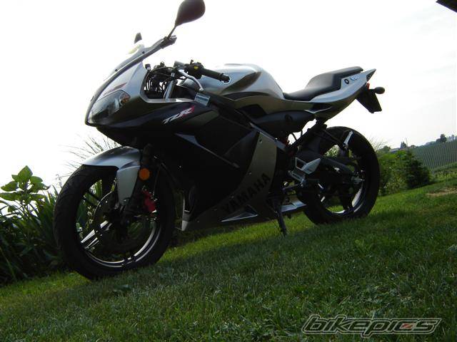 Photo 375278