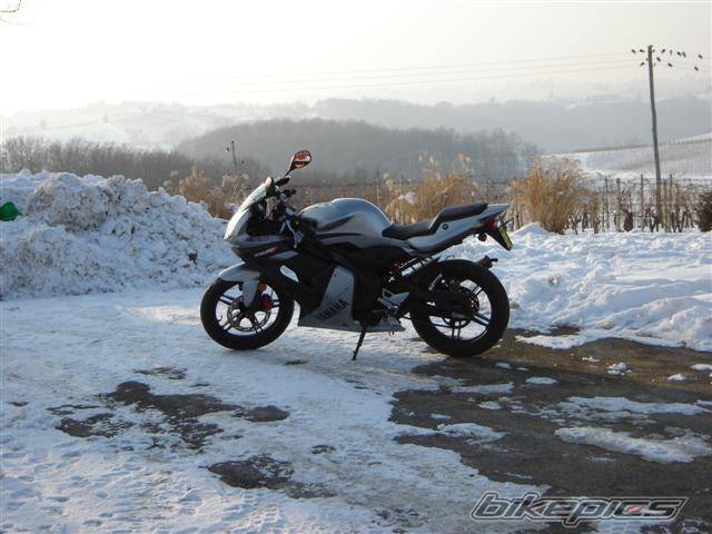 Photo 375288