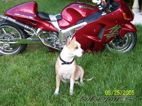 Photo 375416