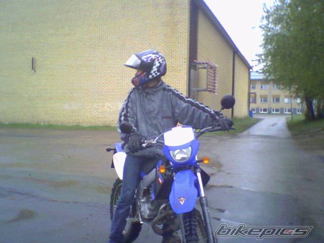 Photo 375440