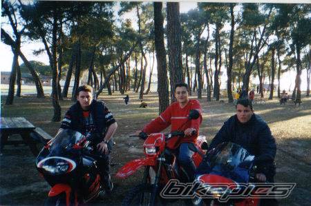 Bike Photo 37549