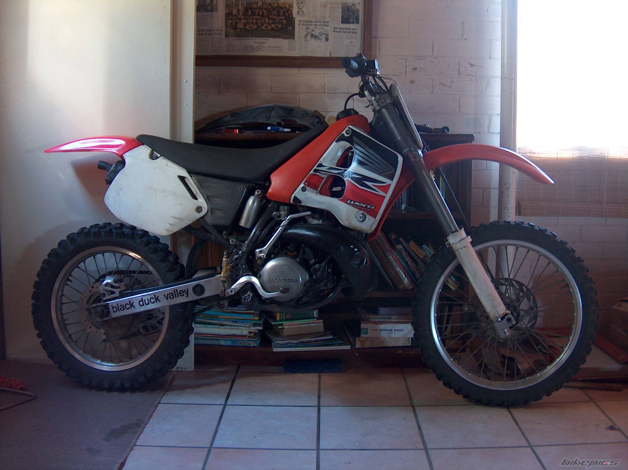 Photo 375569