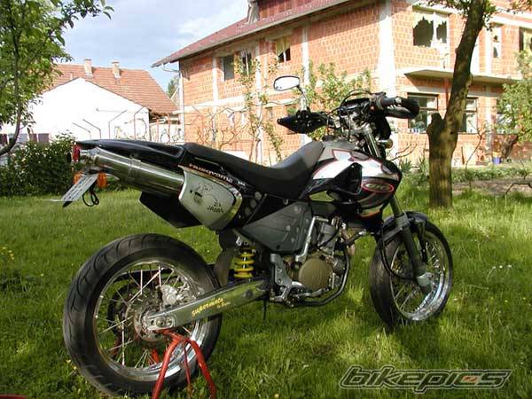 Photo 37564