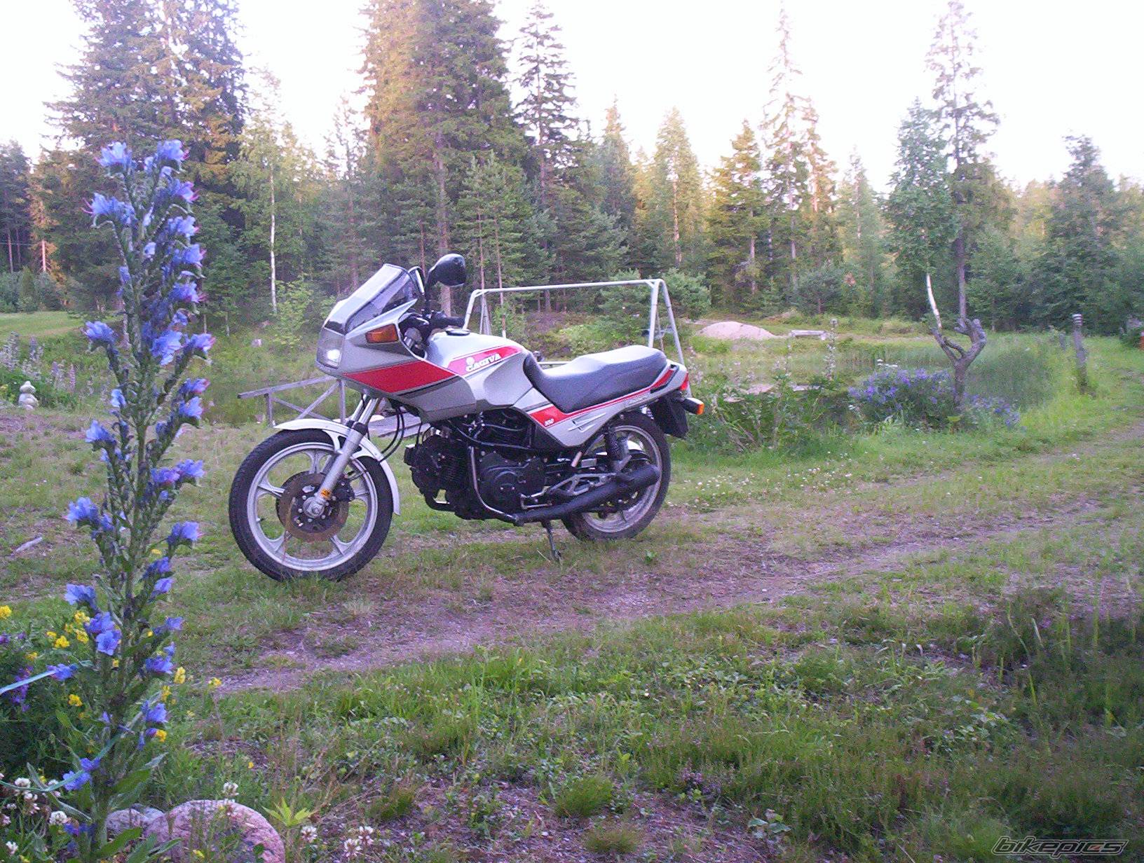 Photo 375778