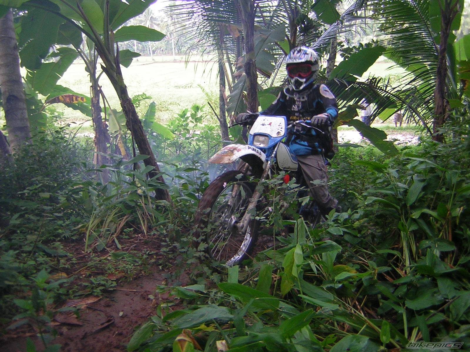 Bike Photo 375796