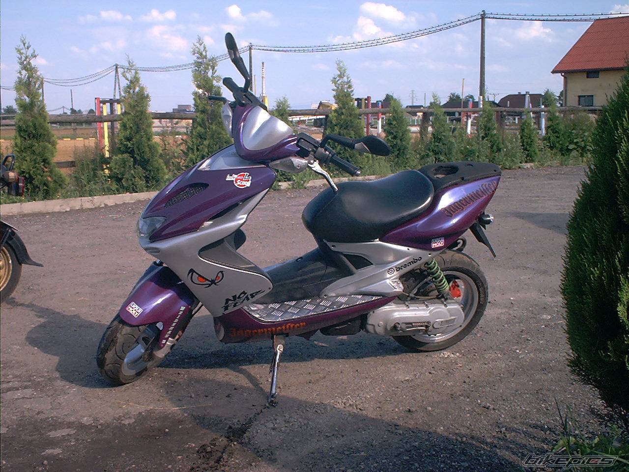Photo 375959