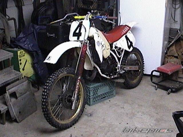 Bike Photo 37596