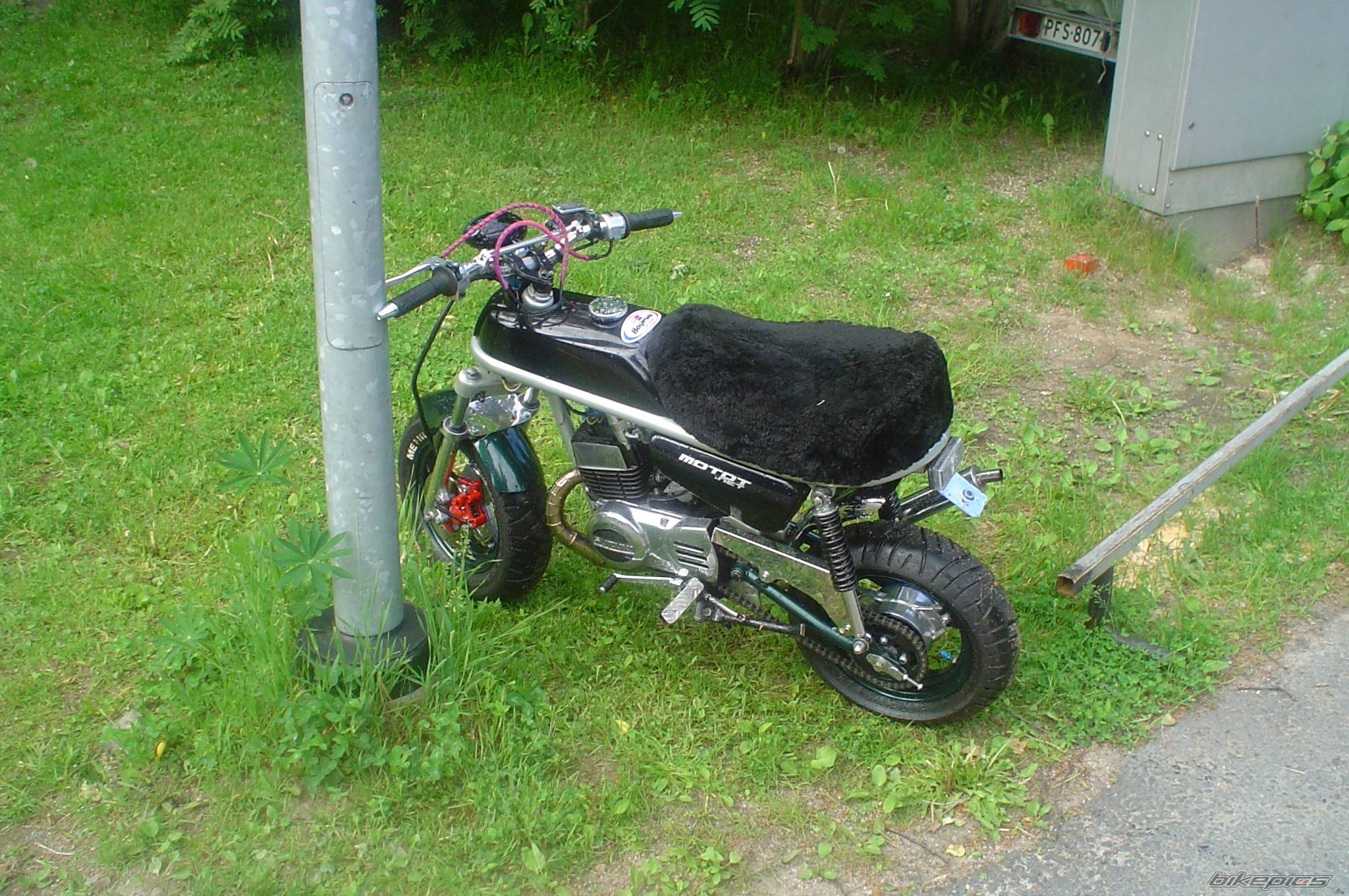 Photo 375987
