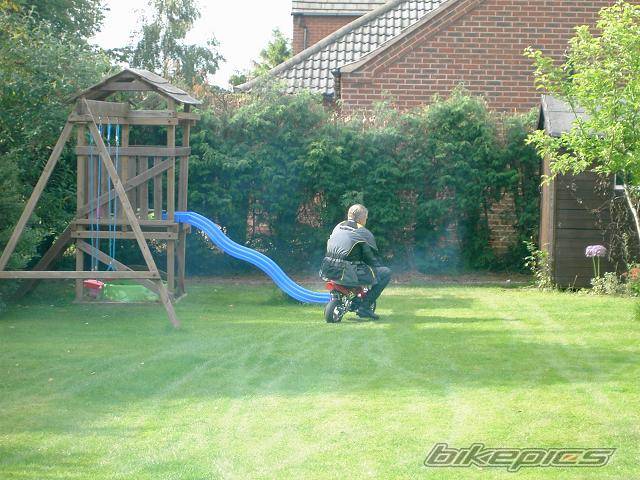Photo 376016