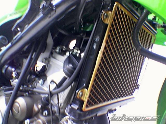 Bike Photo 376192
