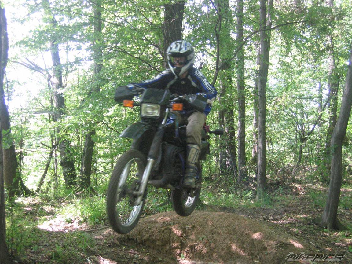 Photo 376222