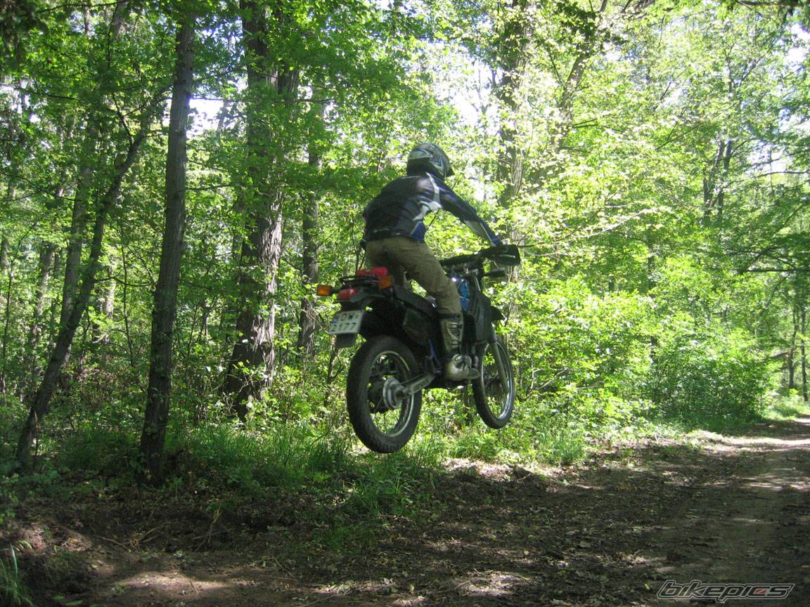 Photo 376223