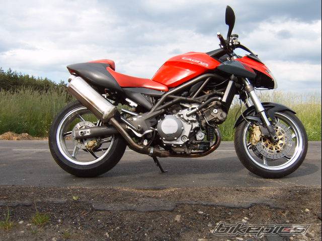 Photo 376255