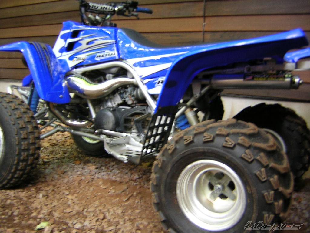 Photo 376334