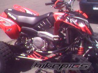 Photo 376354