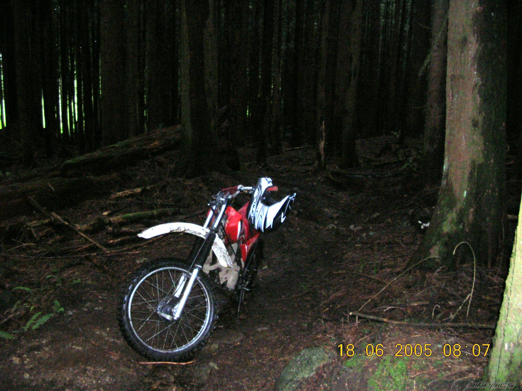 Photo 376417