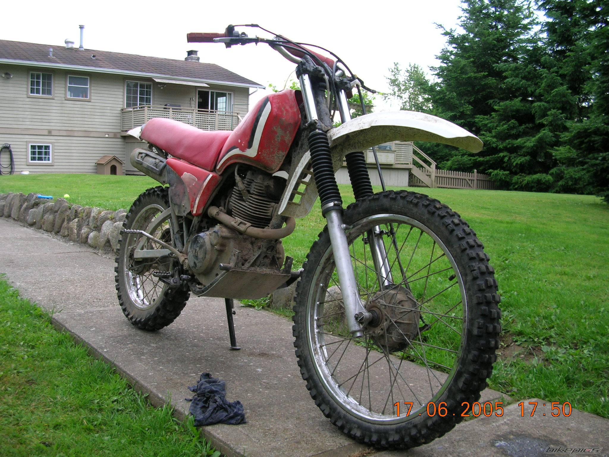 Photo 376454