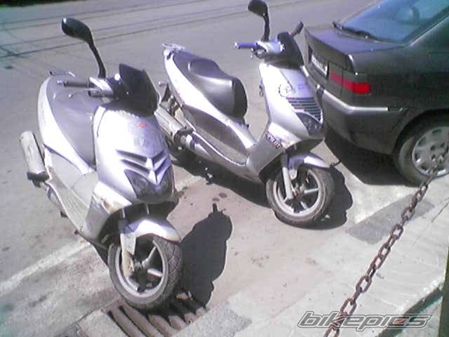 Photo 376469