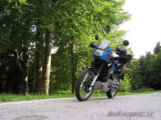 Photo 376507