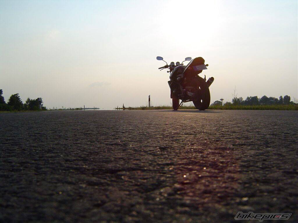 Photo 376510