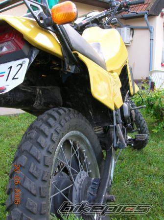 Photo 376566