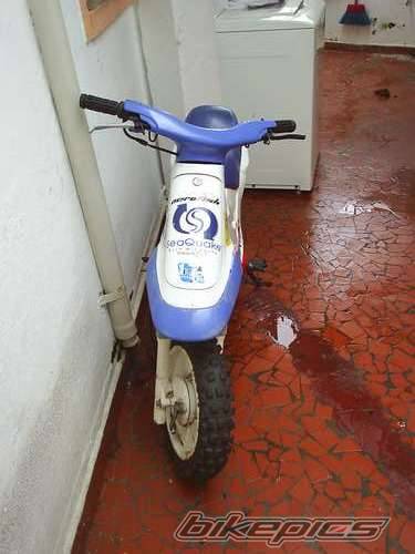 Photo 376567