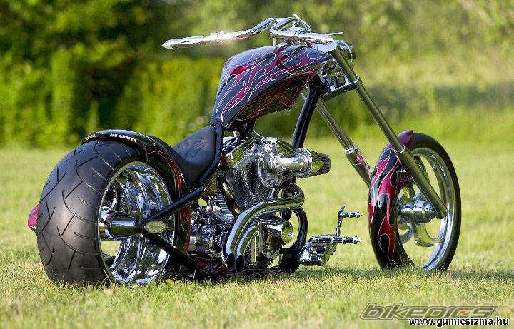 Photo 376568