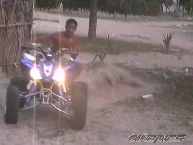 Photo 376569