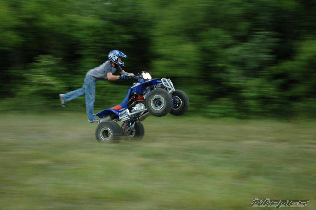 Photo 376575