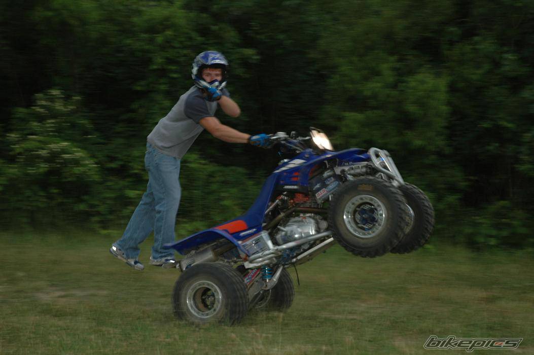 Photo 376582