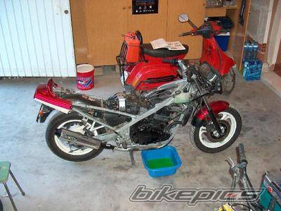 Photo 376632
