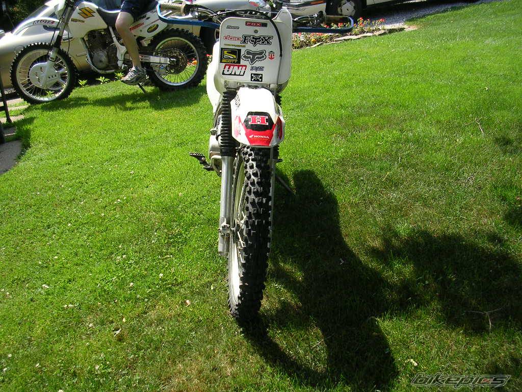 Photo 376662