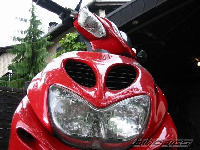 Photo 37668