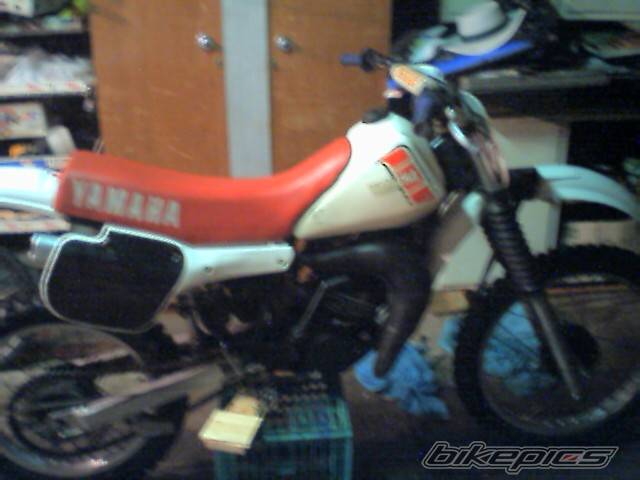 Photo 37674
