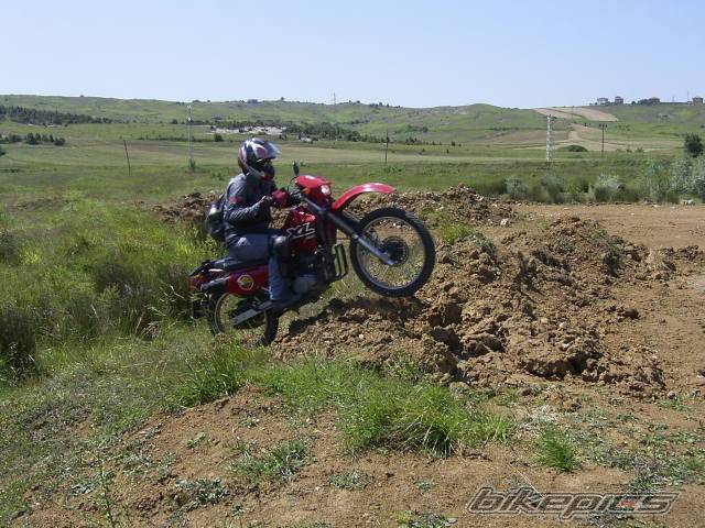 Photo 376760