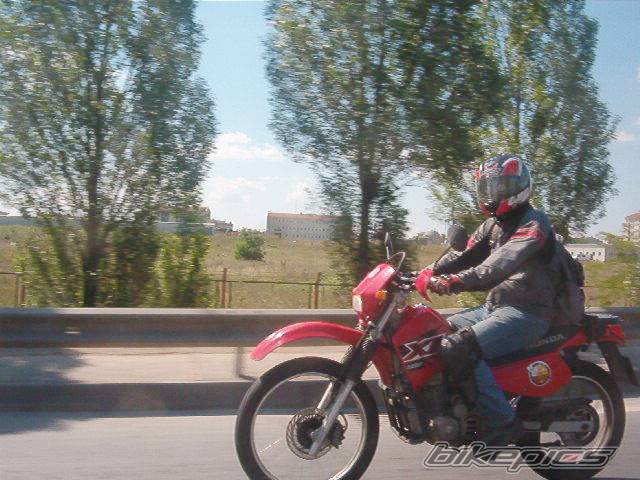 Photo 376769