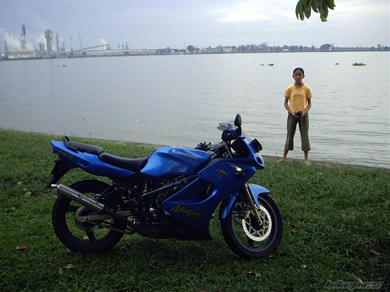 Bike Photo 376772
