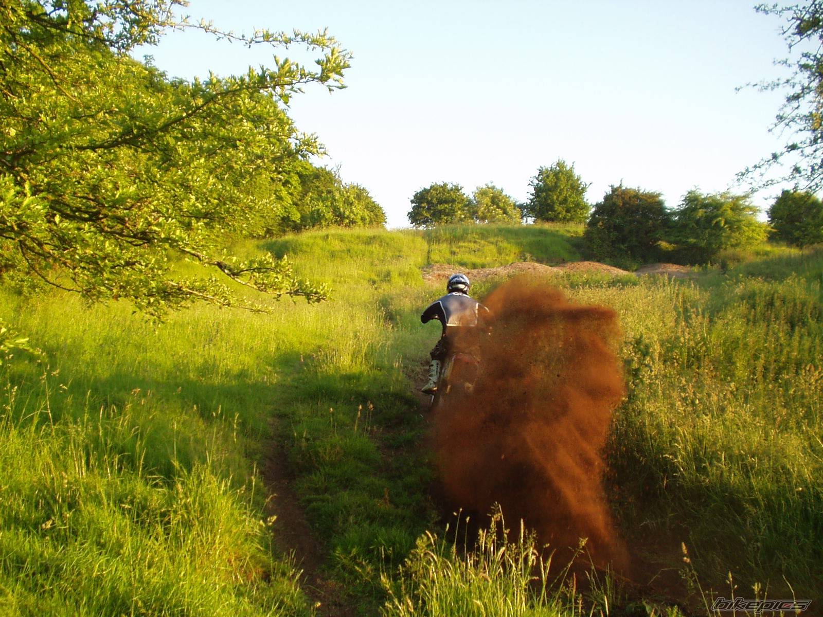 Photo 376780