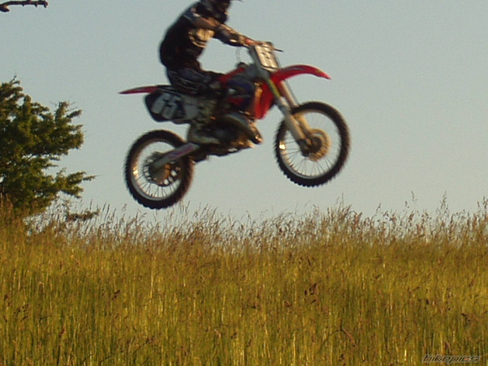 Photo 376785