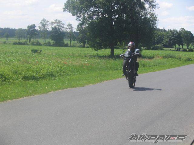 Photo 376841