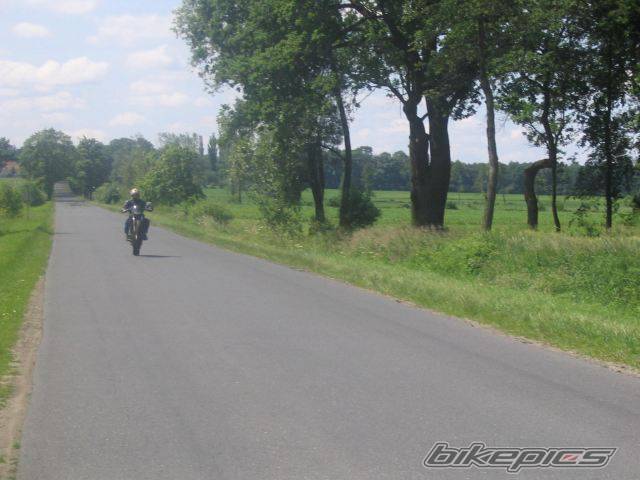 Photo 376848