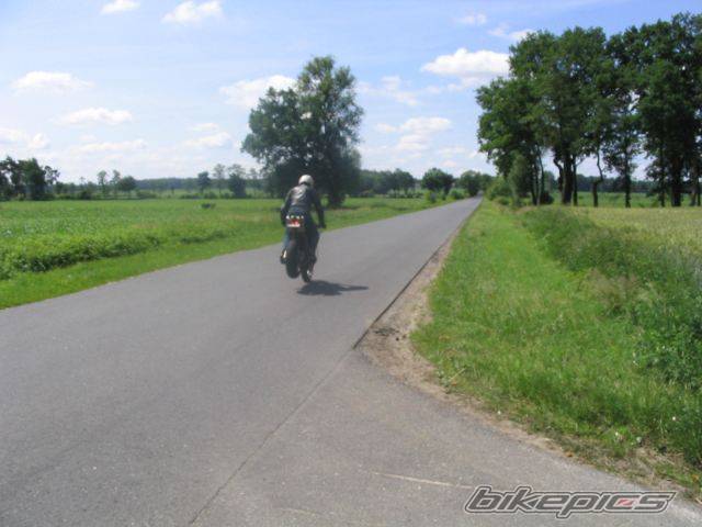 Photo 376853