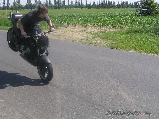 Photo 376854