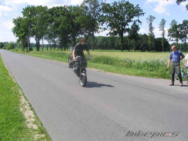 Photo 376856