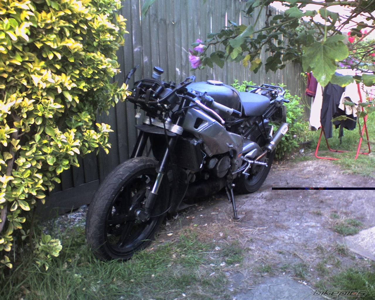 Bike Photo 376928