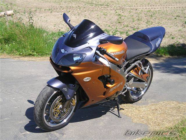 Photo 376933